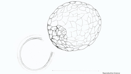 Incredible You_Reproductive science