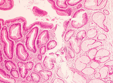 October bulletin banner.jpg