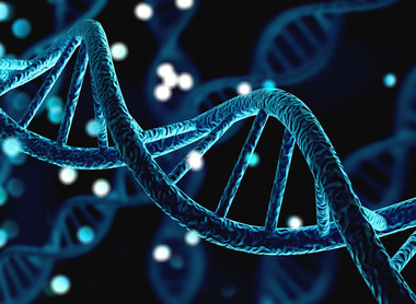 Blue helix human DNA structure