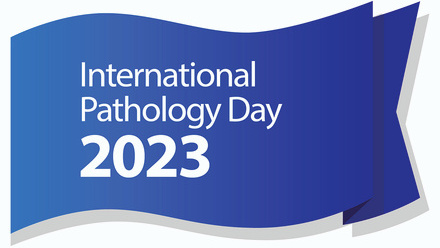 IPD Main Logo-02-02.jpg