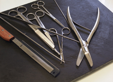 Instruments used for autopsies on a table