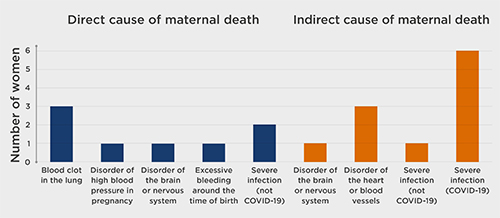 Fig 1. causes of maternal deaths.jpg