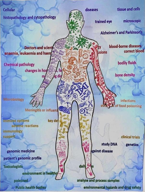 104. Winner Pathology from head to toe.jpg