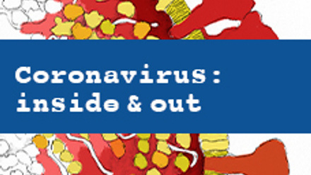 Coronavirus: inside & out cover image in colour