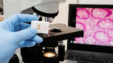 Digital pathology microscope and slide_small.png