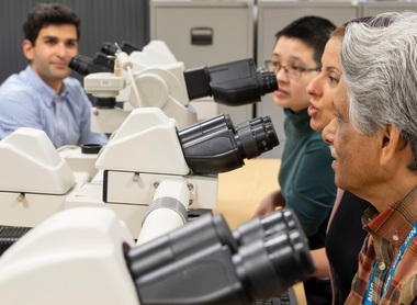 Training session using multi-headed microscopes
