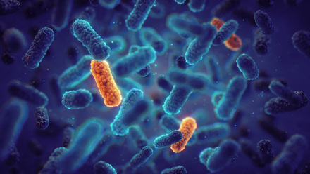 AMR June 2025 resized.jpg