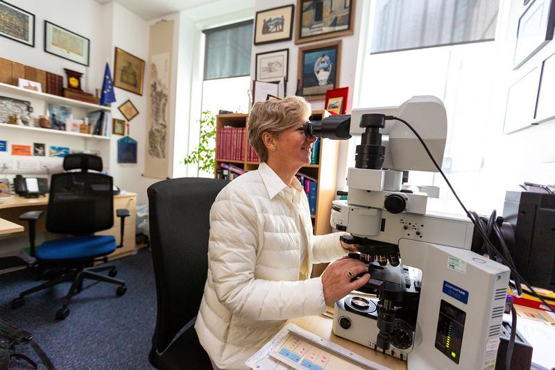 Sarah Coupland microscope