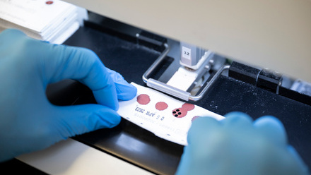 Heel-prick spot testing punch machine in the neonatal laboratory