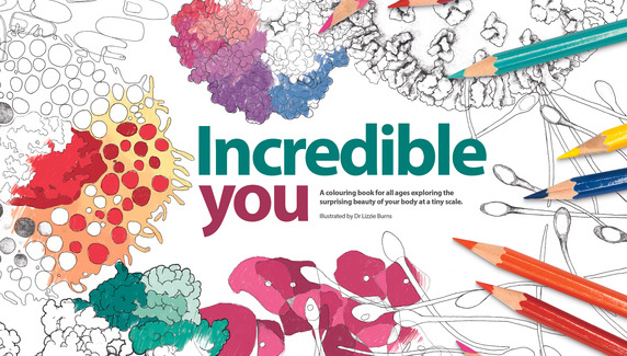 Incredible You cover page image
