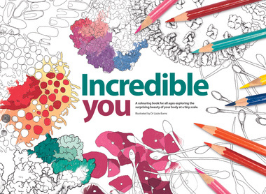 Incredible You cover page image