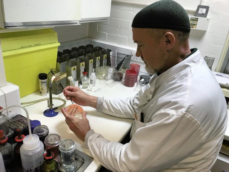 Shaheed McGregor.jpg