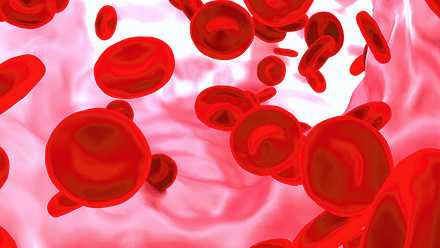 red-blood-cell-blood-vessel-thumbnail-copy.jpg