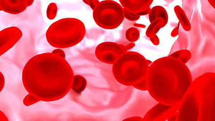 red-blood-cell-blood-vessel-thumbnail-copy.jpg