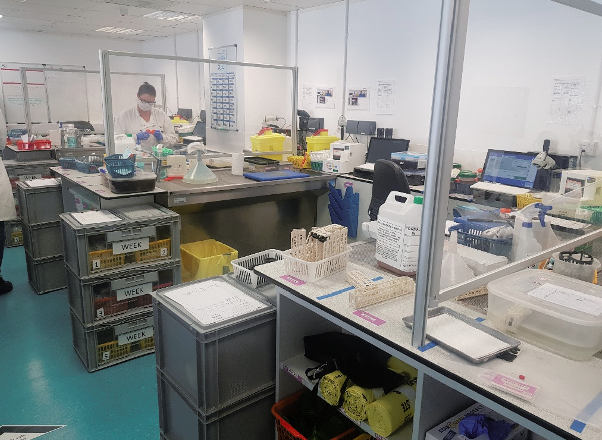 IDEXX Laboratory in Wetherby