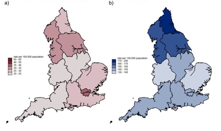 Regional variation in rate per 100,000 population