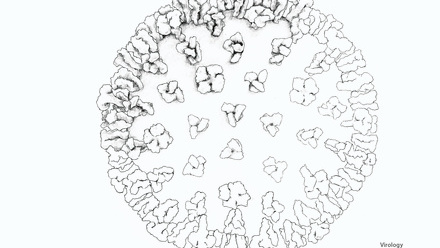 Incredible You_Virology: Flu virus