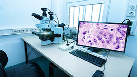 A digital pathology set up with microscope and screen