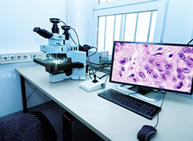 A digital pathology set up with microscope and screen