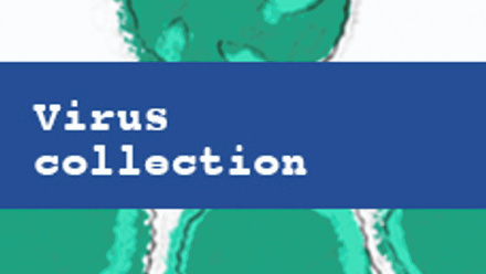 Virus collection cover image