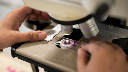 Pathologist placing a slide under a microscope