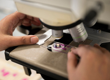 Microscope slide_histopathology