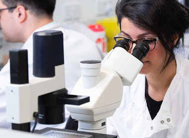 Scientist looking down a microscope in a microbiology laboratory with a colleague