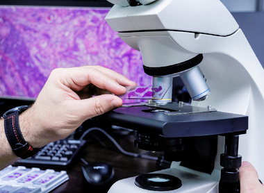Pathologist with slide and screen