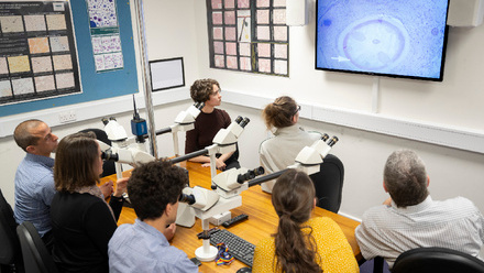 Trainees looking at a screen during a teaching session