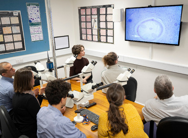 Trainees looking at a screen during a teaching session