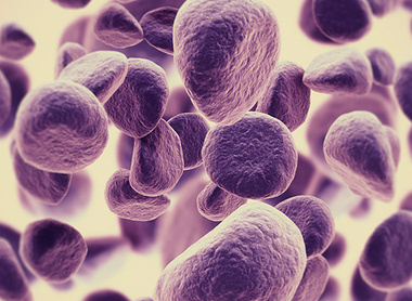 Image depicting cancer cells