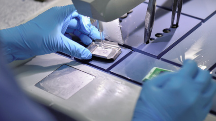 Scientist with blue gloves embedding tissue