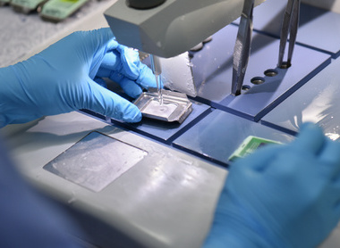 Scientist with blue gloves embedding tissue