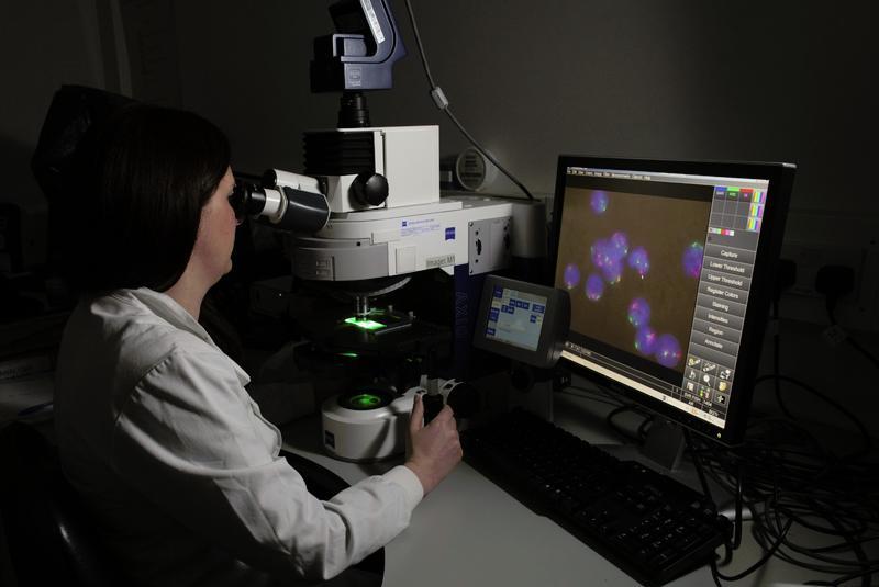 Clinician analysing genomic data