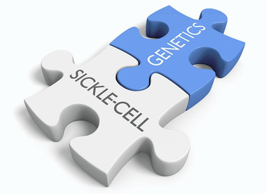 Jigsaw pieces with a white piece saying sickle cell and a blue piece saying genetics