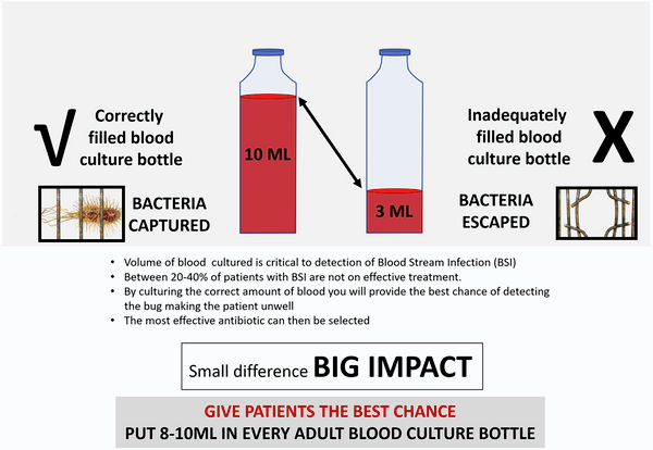 Figure 1. Illustration of correctly filled blood culture bottle