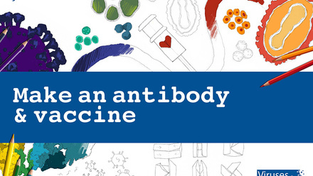 Make an antibody & vaccine cover image