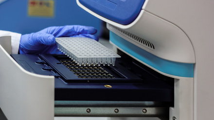 DNA samples into PCR machine for analysis_low res.jpg