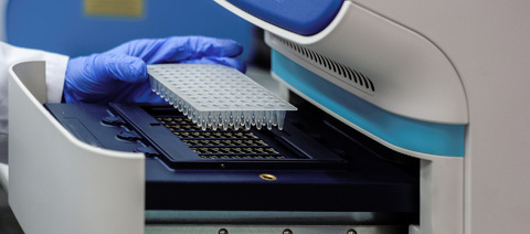 DNA samples into PCR machine for analysis_low res.jpg