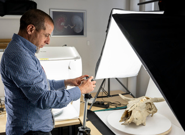 Lecturer taking photos in veterinary microbiology diagnostics laboratory