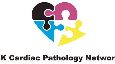 UKCPN logo