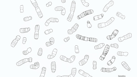 Incredible You_Genetics: Chromosomes