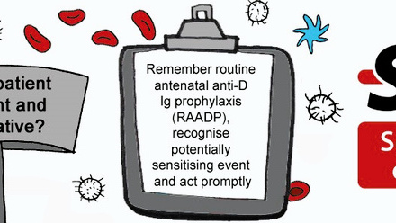 RhD SHOT figure 1.jpg
