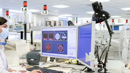 Banner image - workforce (3000 x 800 px).png