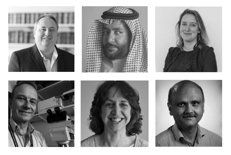 Panelists from the roundtable session for IPD 2021