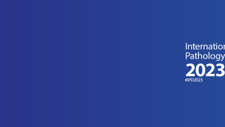 IPD banner_2023