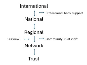 Katy Heany_July 2025_Bulletin.jpg