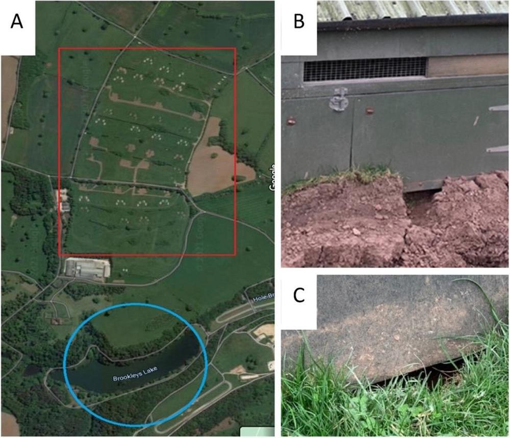 Ecological context of the site showing how bird flu can spread