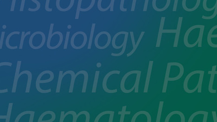 Ghana lecture series 2 banner.jpg