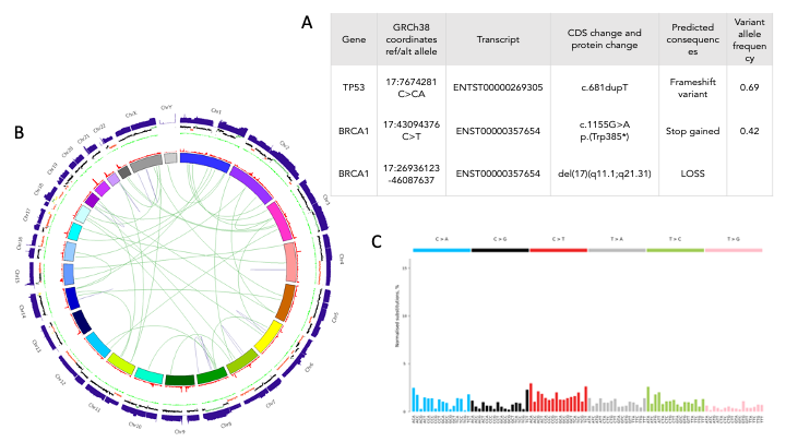 Whole genome sequencing analysis for a patient with high-grade serous ovarian carcinoma